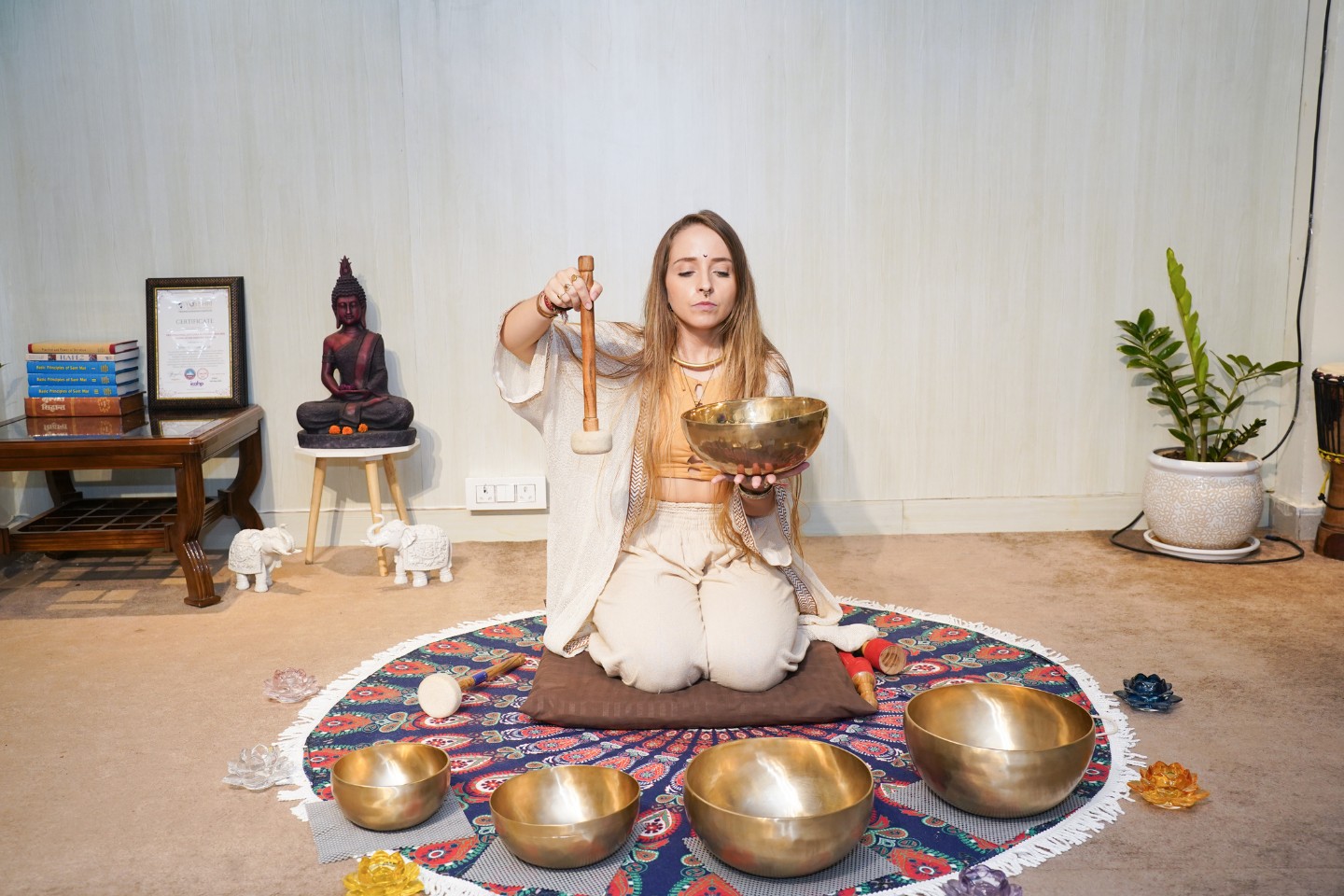 Curriculum of sound healing Level 1 training in Rishikesh