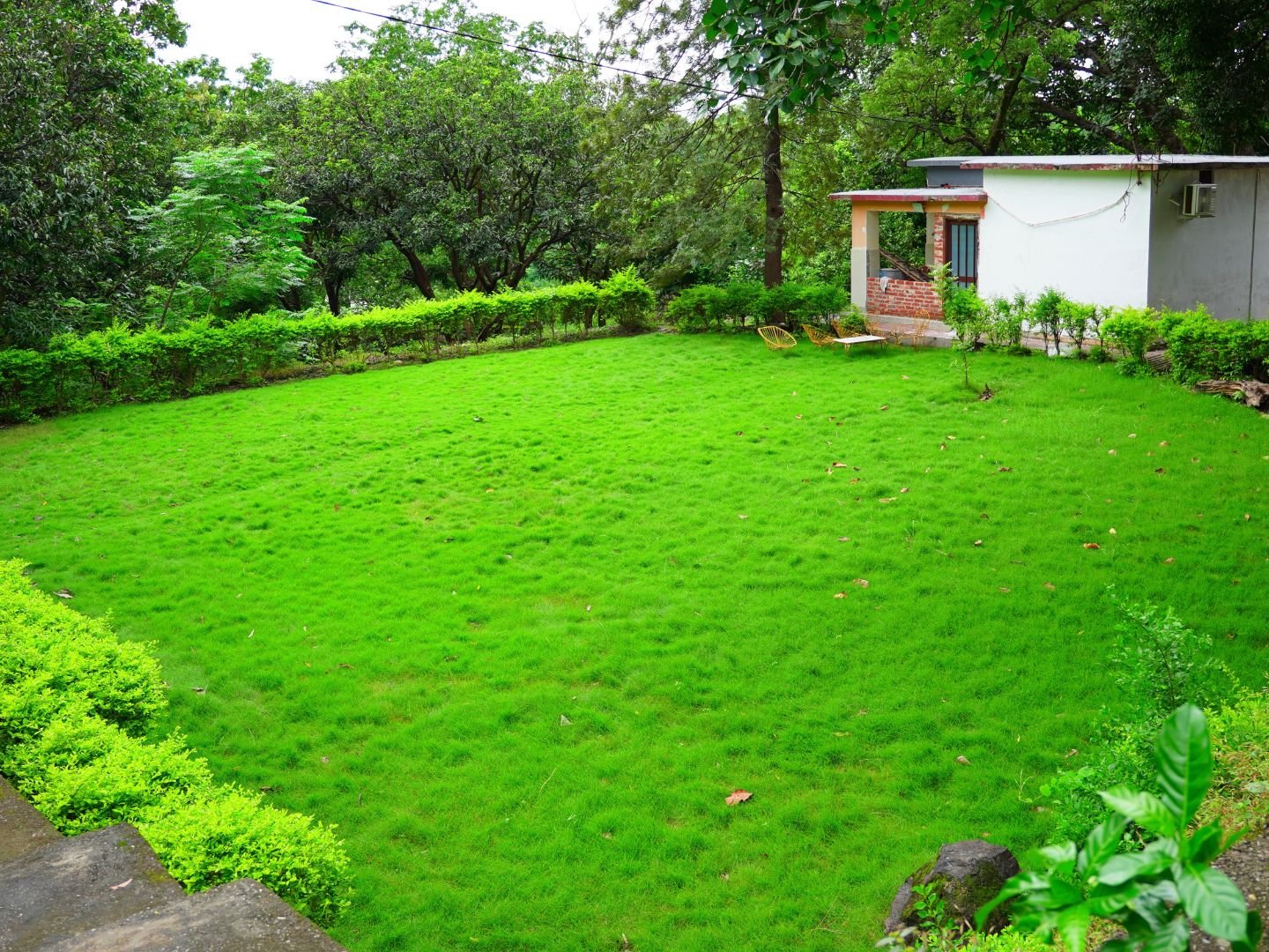 yogshri-ashram1 Green garden and outdoor space at Yogshri Healing Ashram