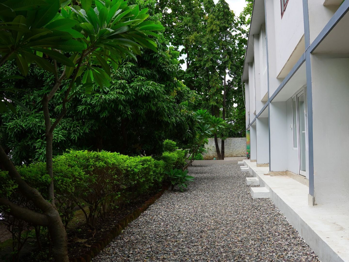 yogshri-ashram3 Garden walkway beside Yogshri Healing Ashram accommodation