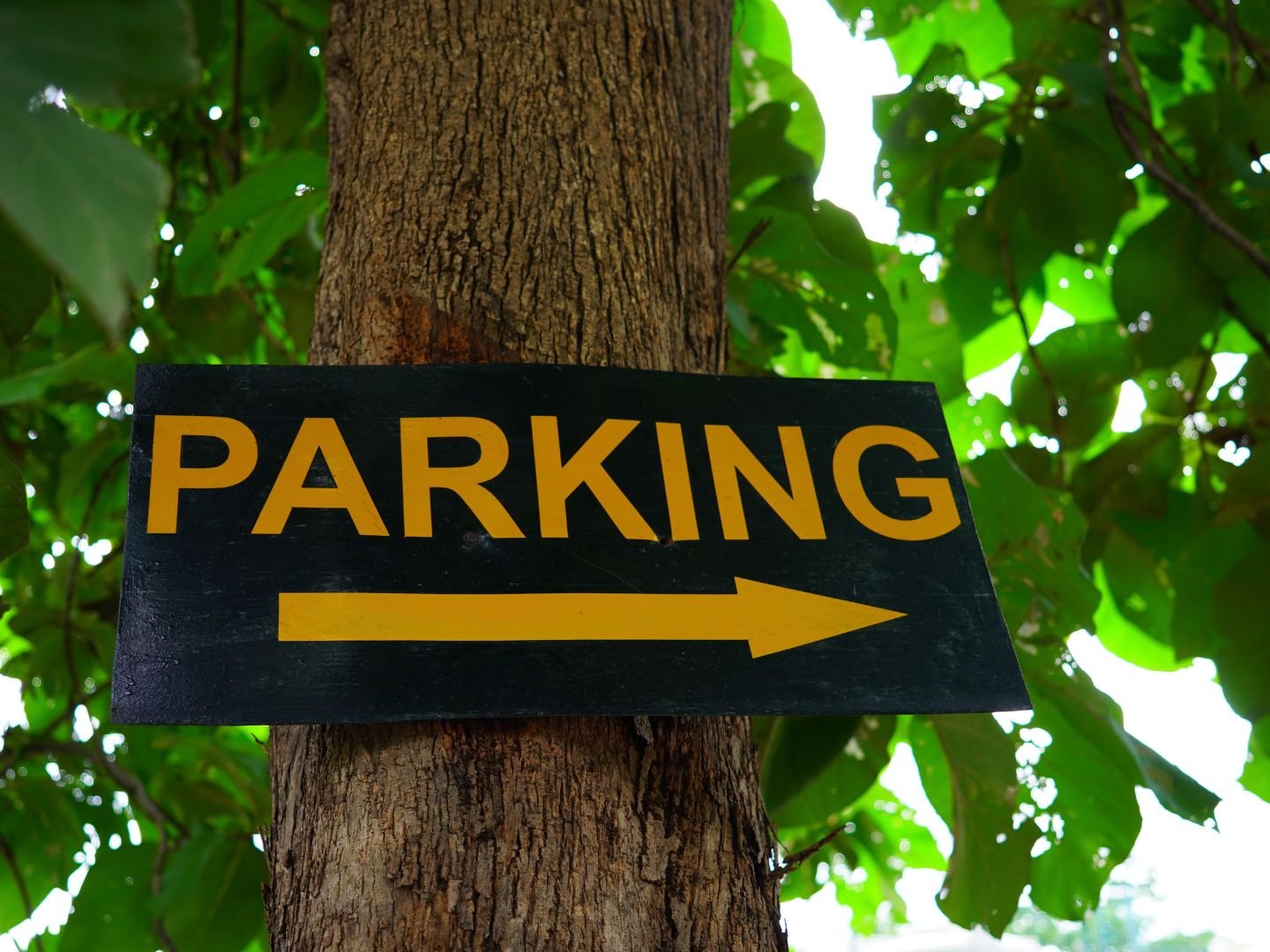 yogshri-ashram5 Parking area at Yogshri Healing Ashram
